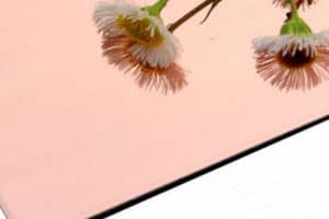 Mirror Aluminum Composite Panel